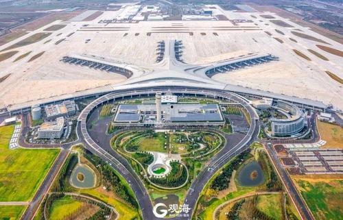 青岛飞机场爆料最新消息,航班调整与安全措施升级全面揭晓