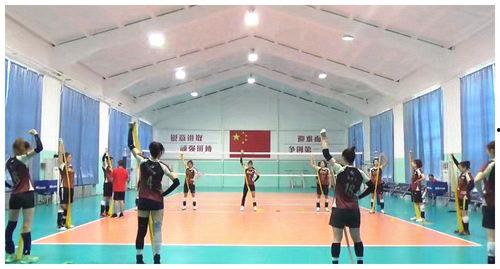 天津女排爆料视频播放全集,爆料视频全集精彩瞬间回顾